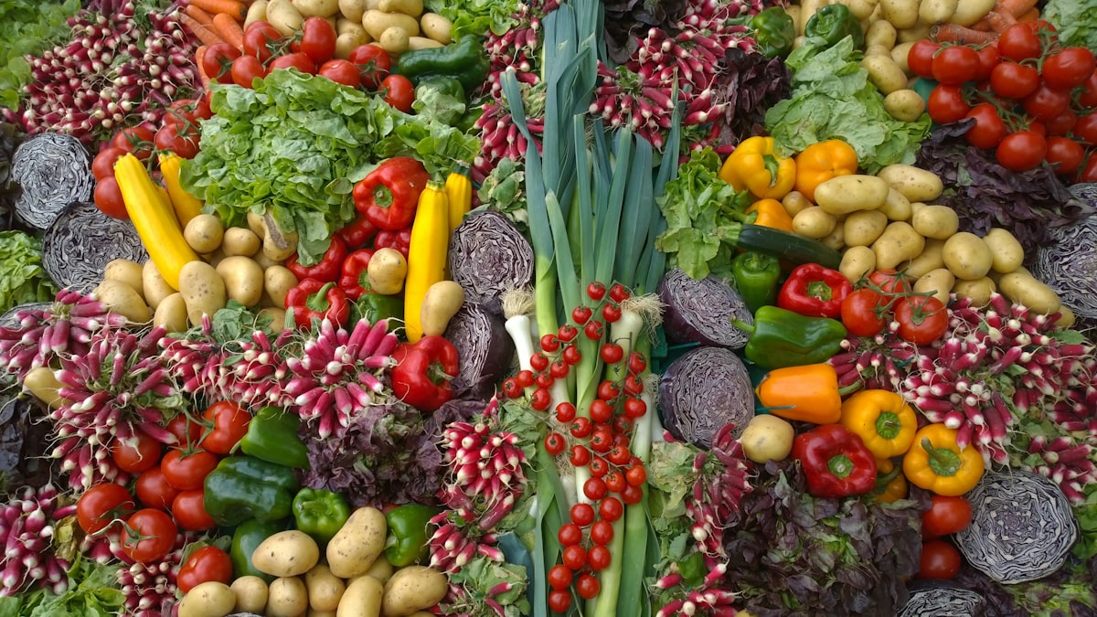 Personalized nutrition consultation